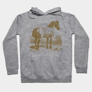 Horse Monochrome Illustration Hoodie